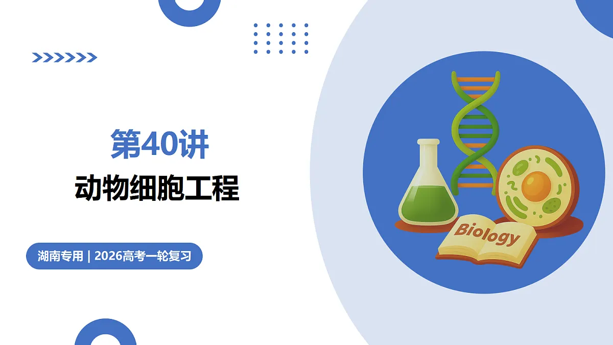 17442980第1页