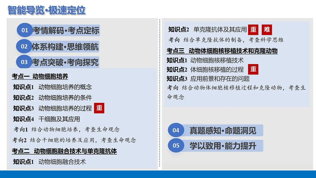 17442980第2页