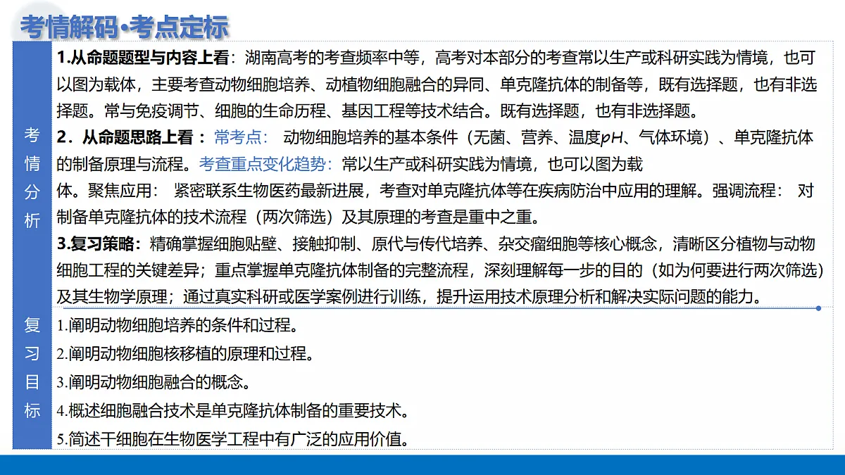17442980第5页