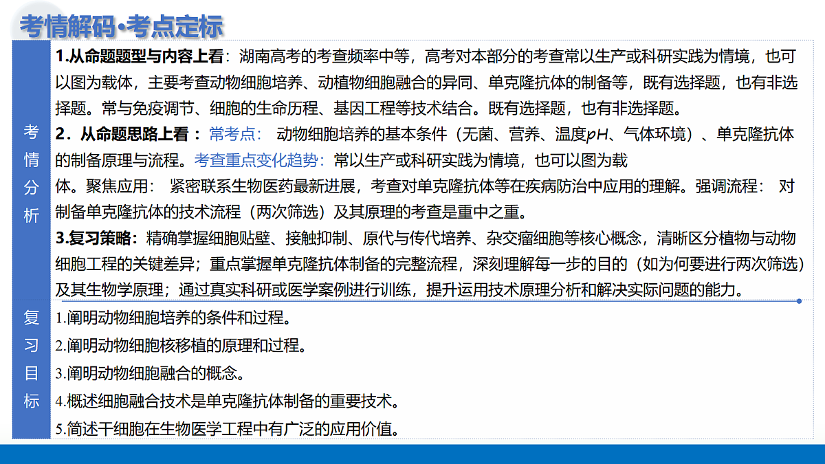 17442980第5页
