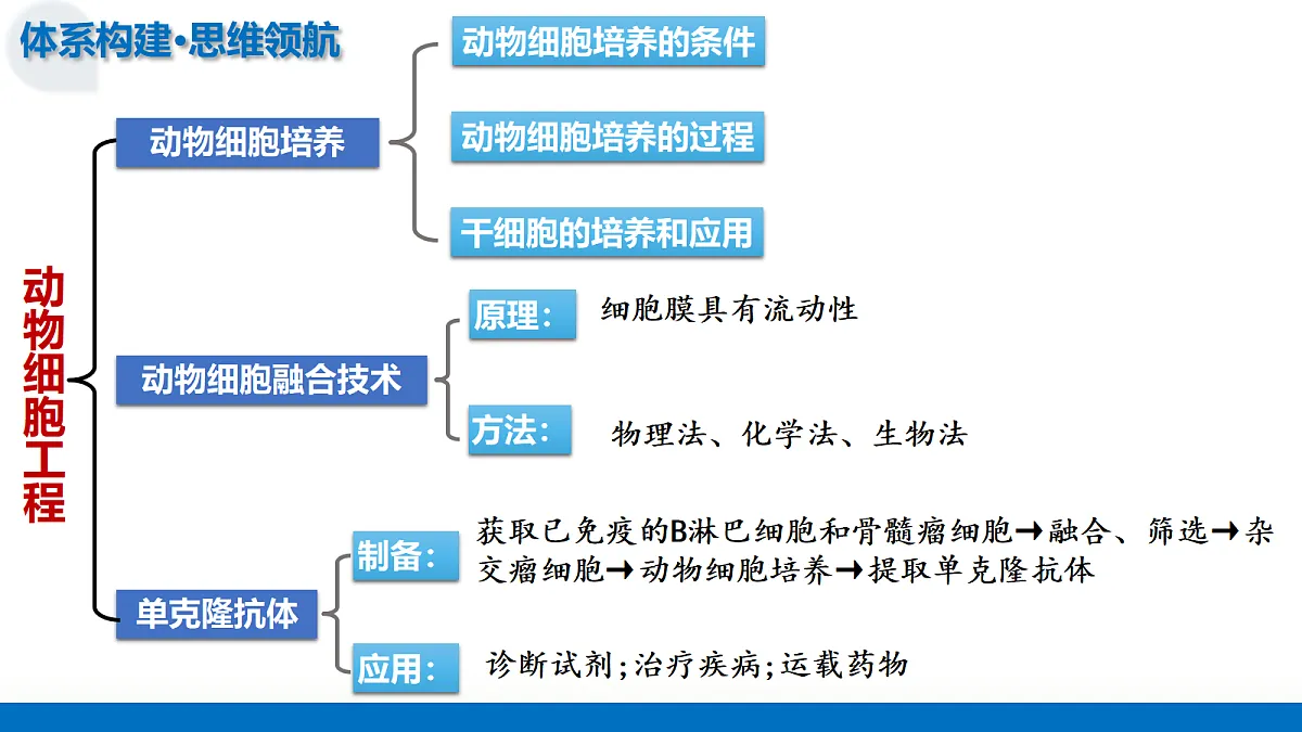 17442980第7页