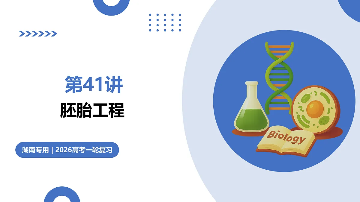 17442981第1页