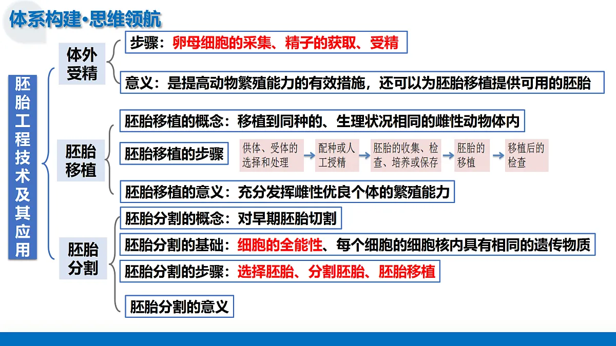 17442981第8页