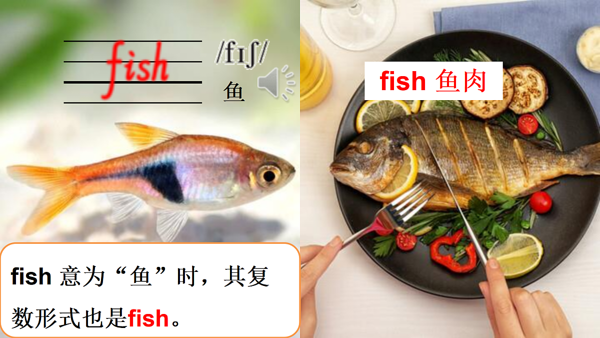 17443131第8页