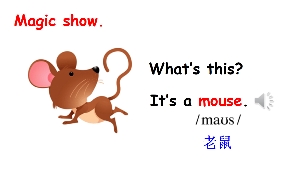 17443222第3页