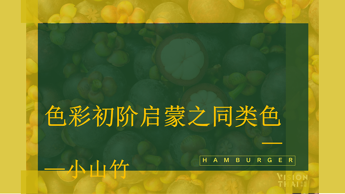 17443303第1页