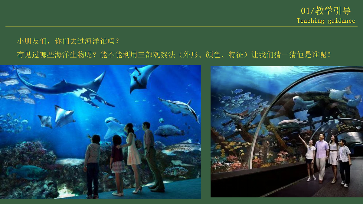 17443304第4页