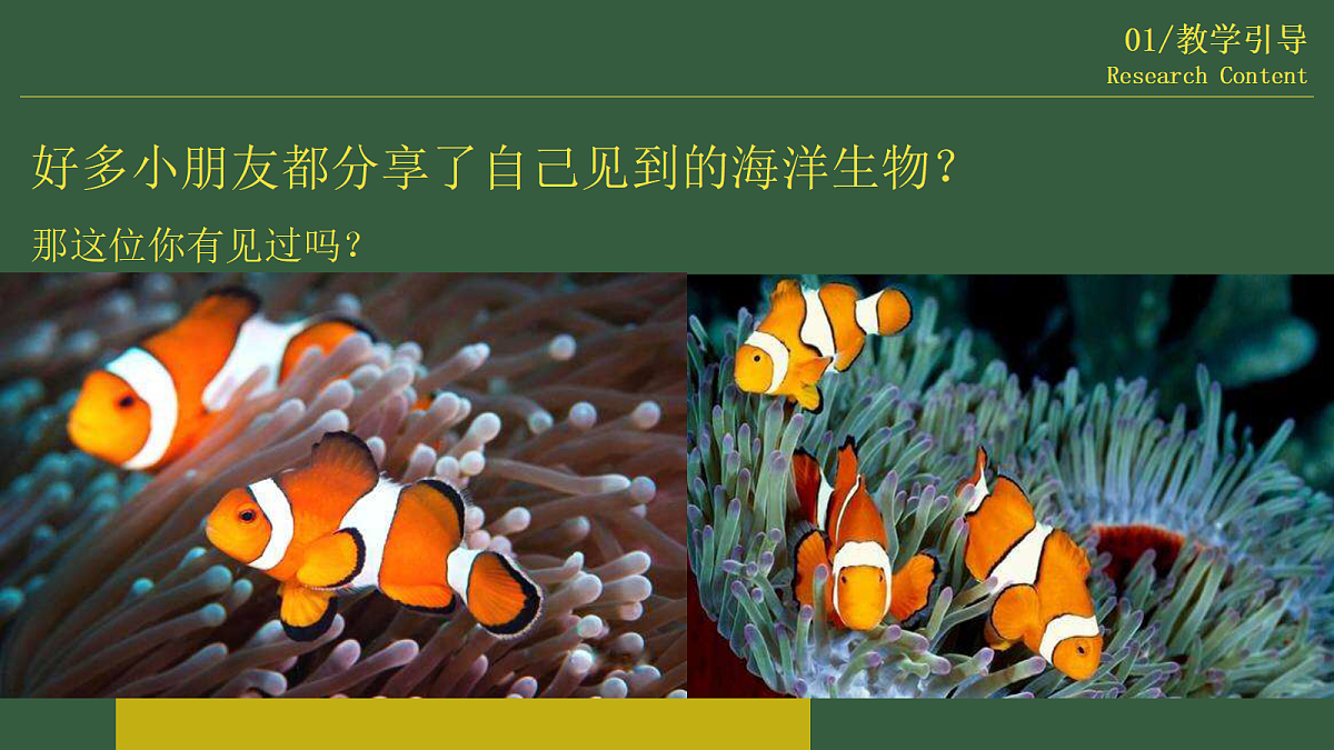 17443304第5页