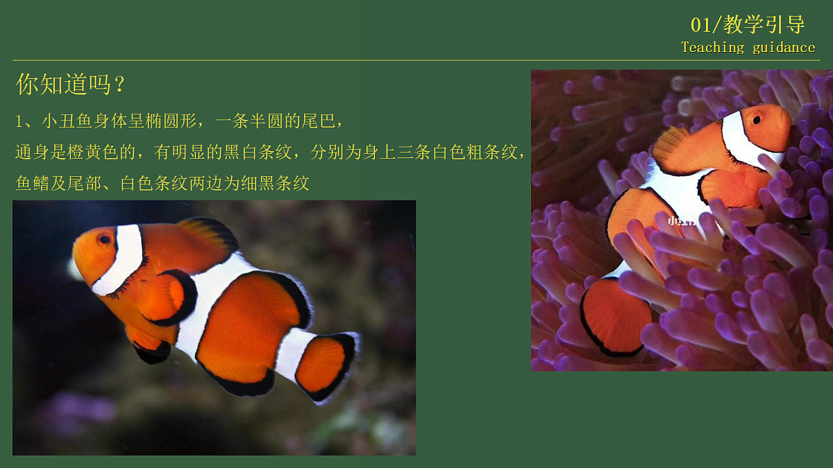 17443304第7页