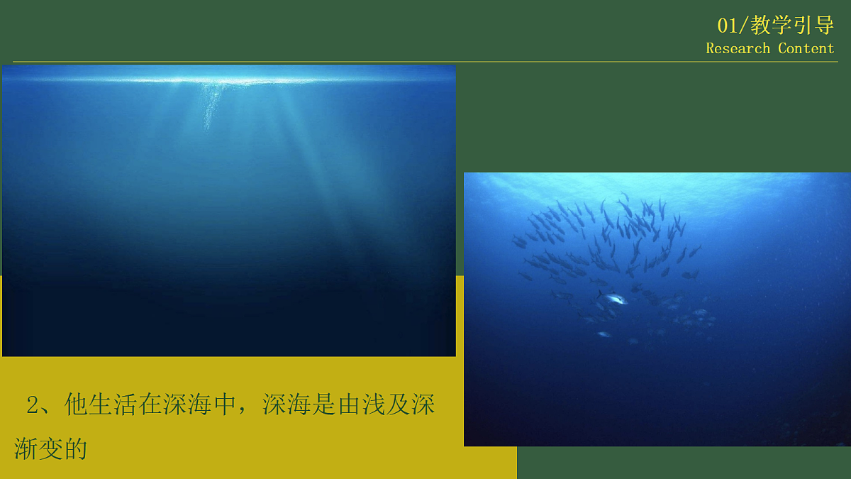 17443304第8页