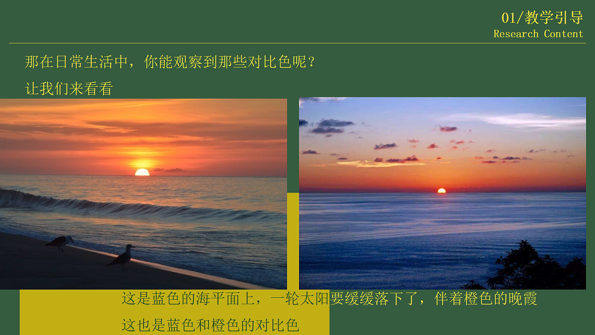 17443305第5页