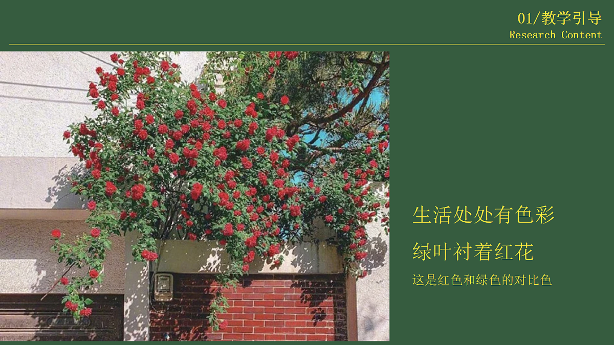 17443305第6页