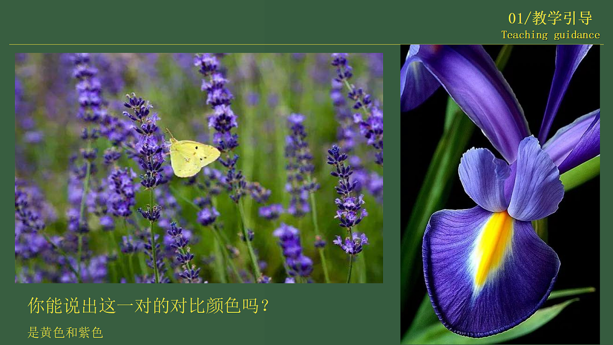 17443305第7页