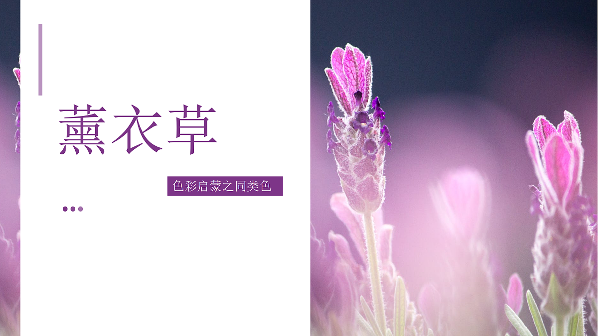 17443306第1页