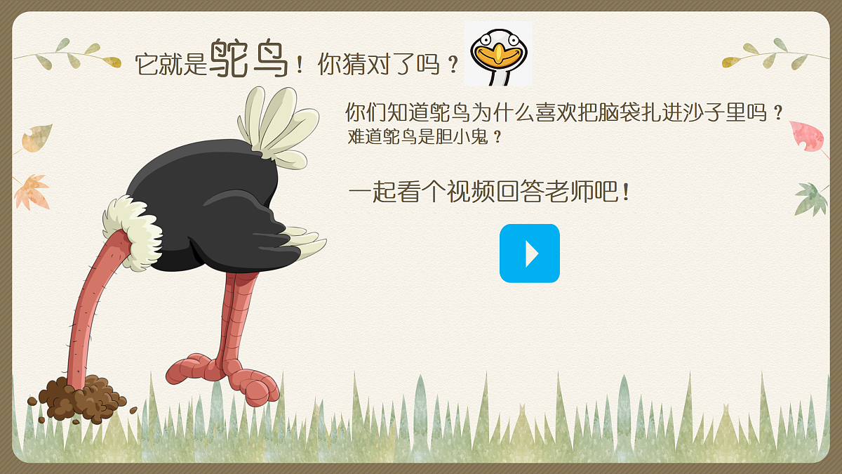 17443308第6页