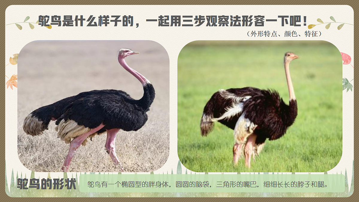 17443308第7页