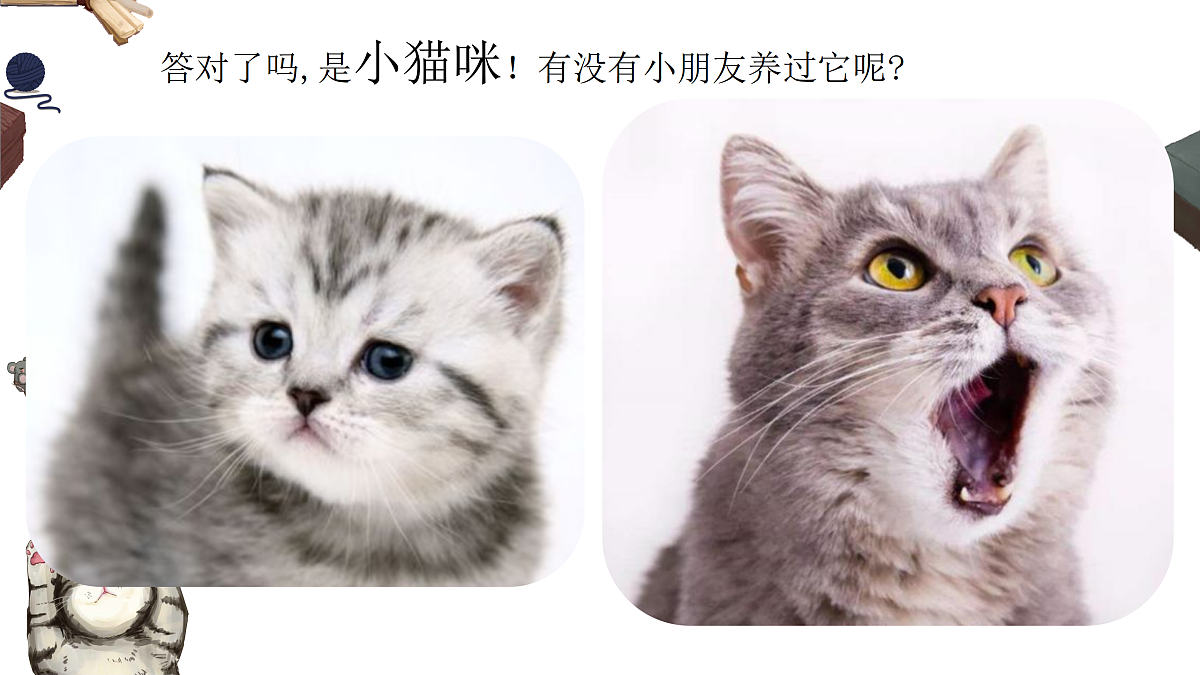 17443309第5页