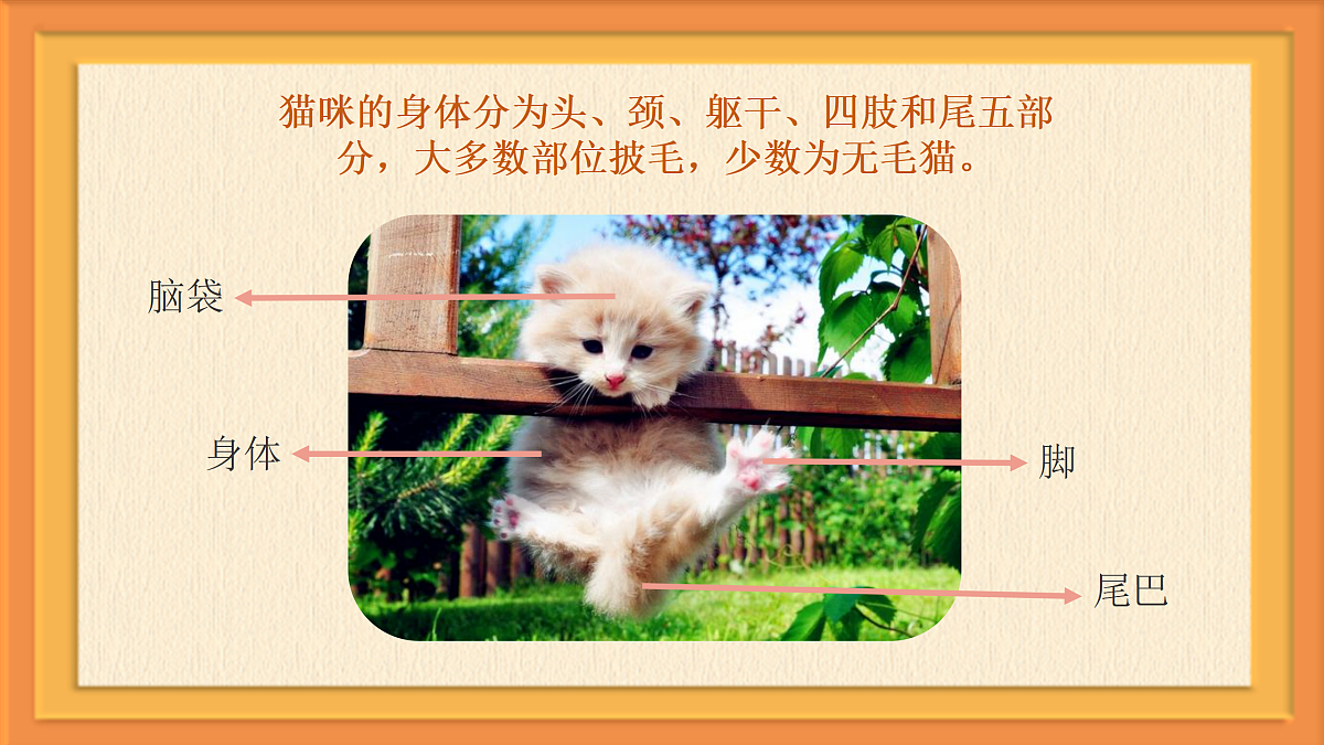 17443309第7页