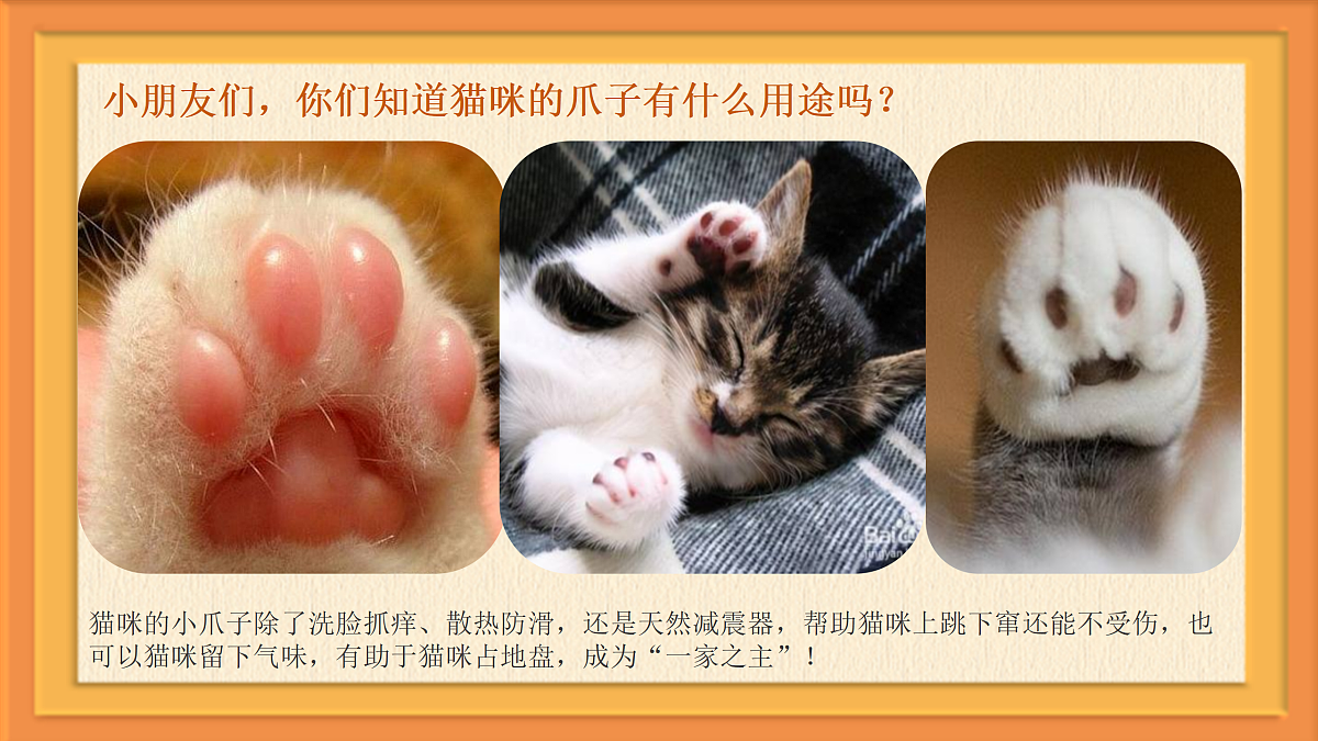 17443309第8页
