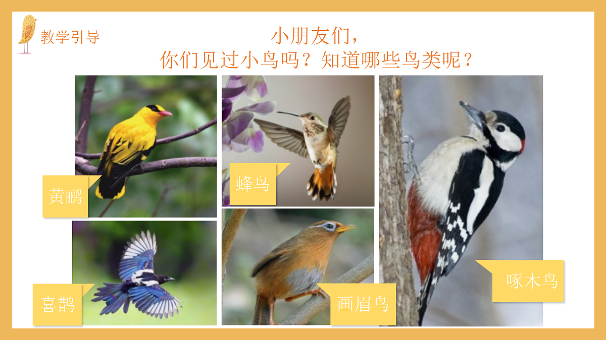 17443310第3页