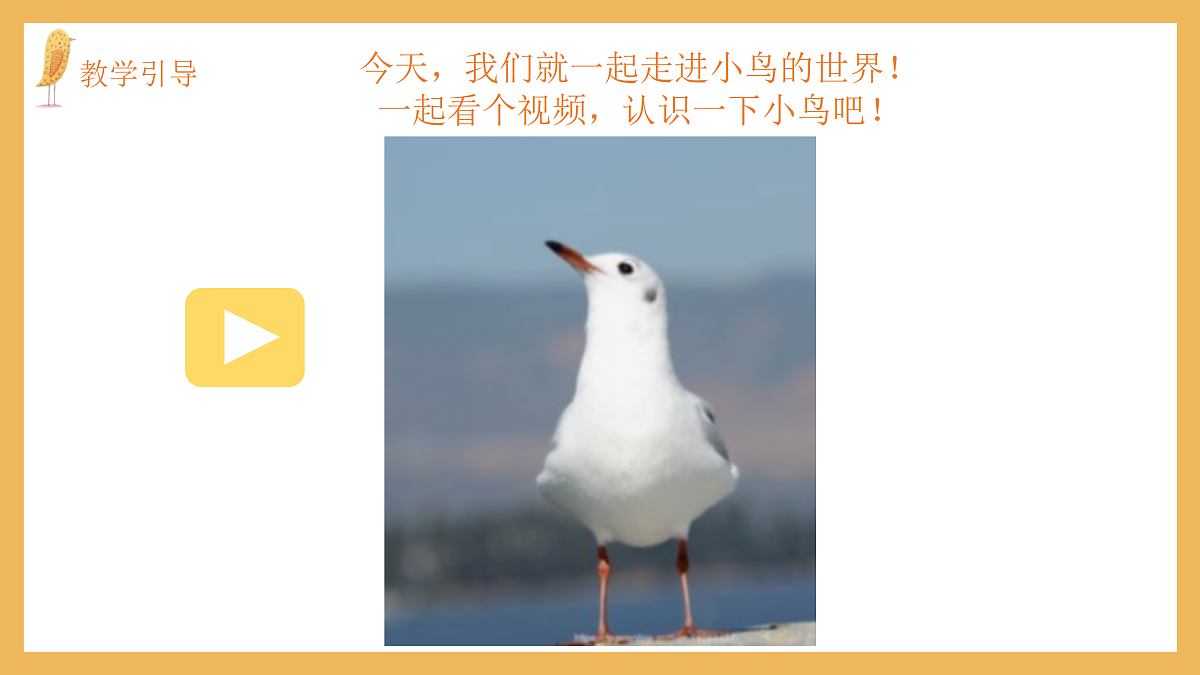 17443310第4页
