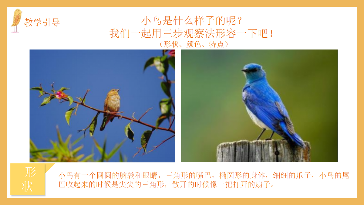 17443310第5页
