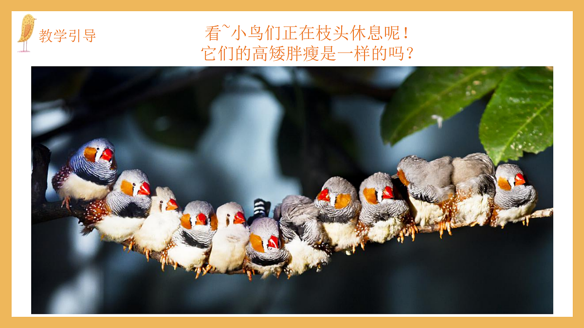 17443310第8页