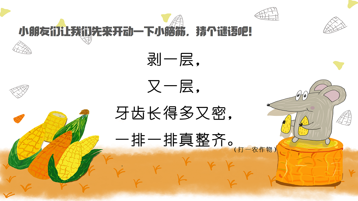 17443312第4页
