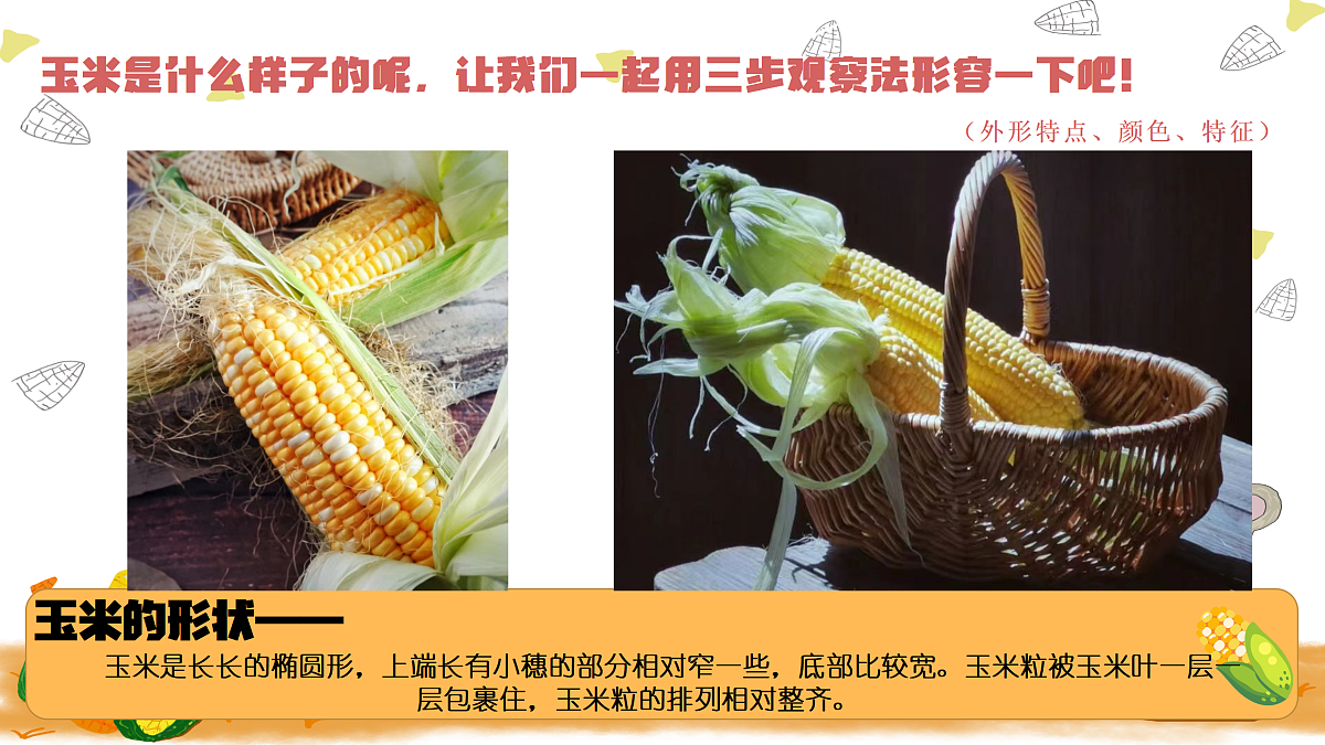 17443312第7页