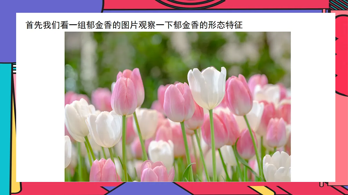 17443320第4页