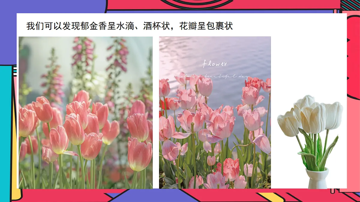 17443320第5页