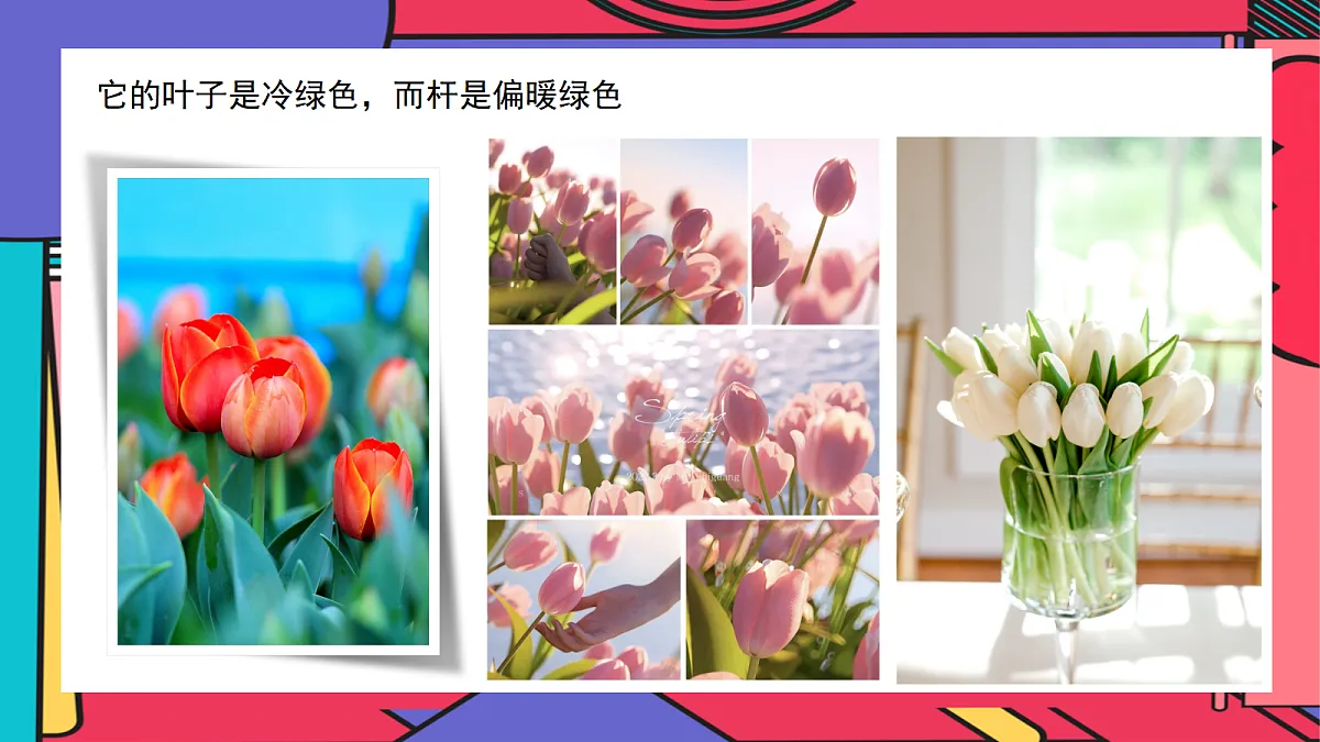 17443320第6页