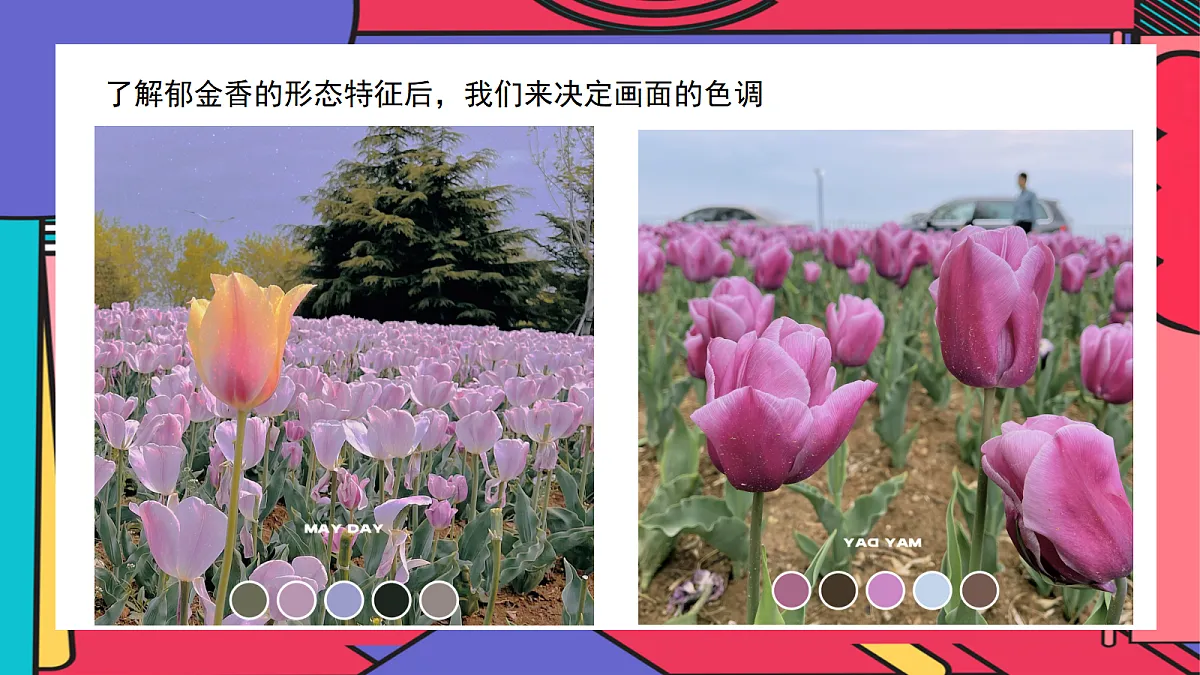 17443320第8页