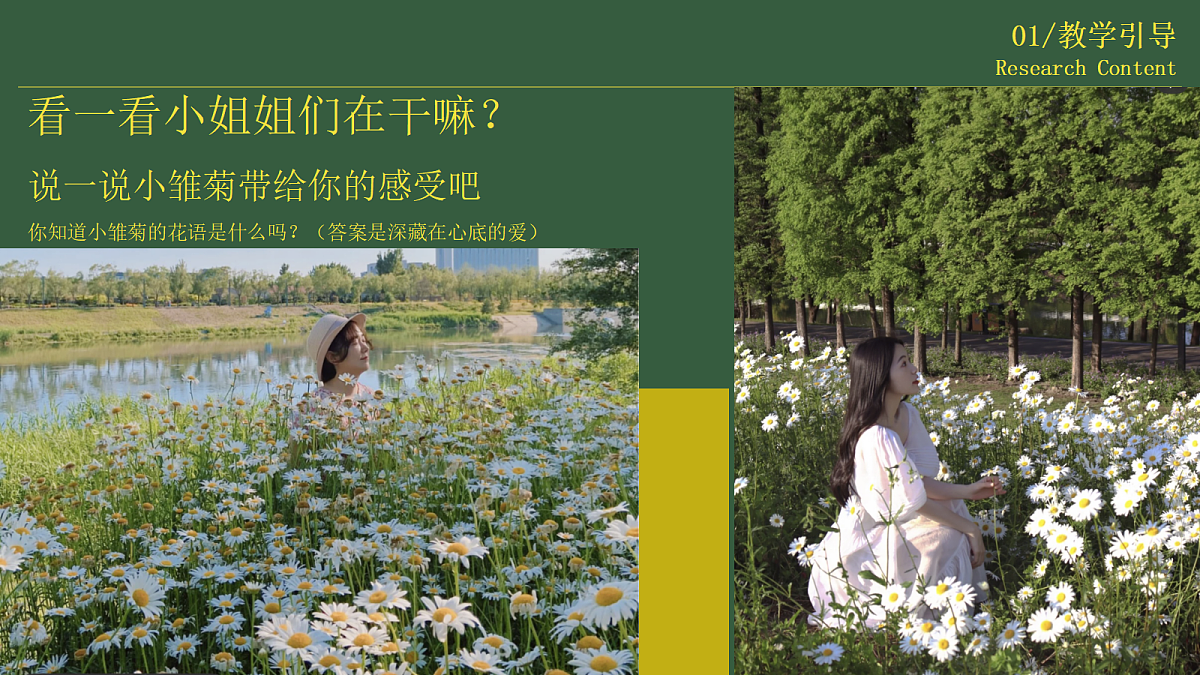17443354第7页
