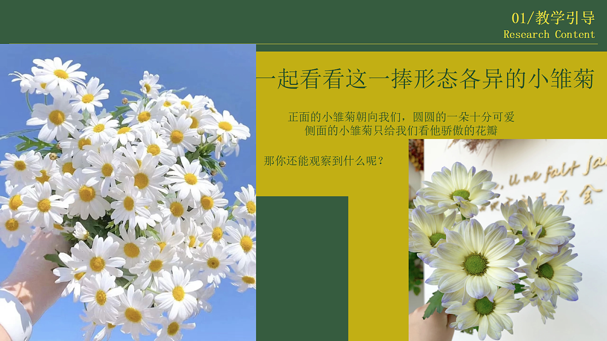 17443354第8页