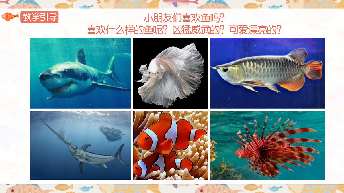 17443356第3页