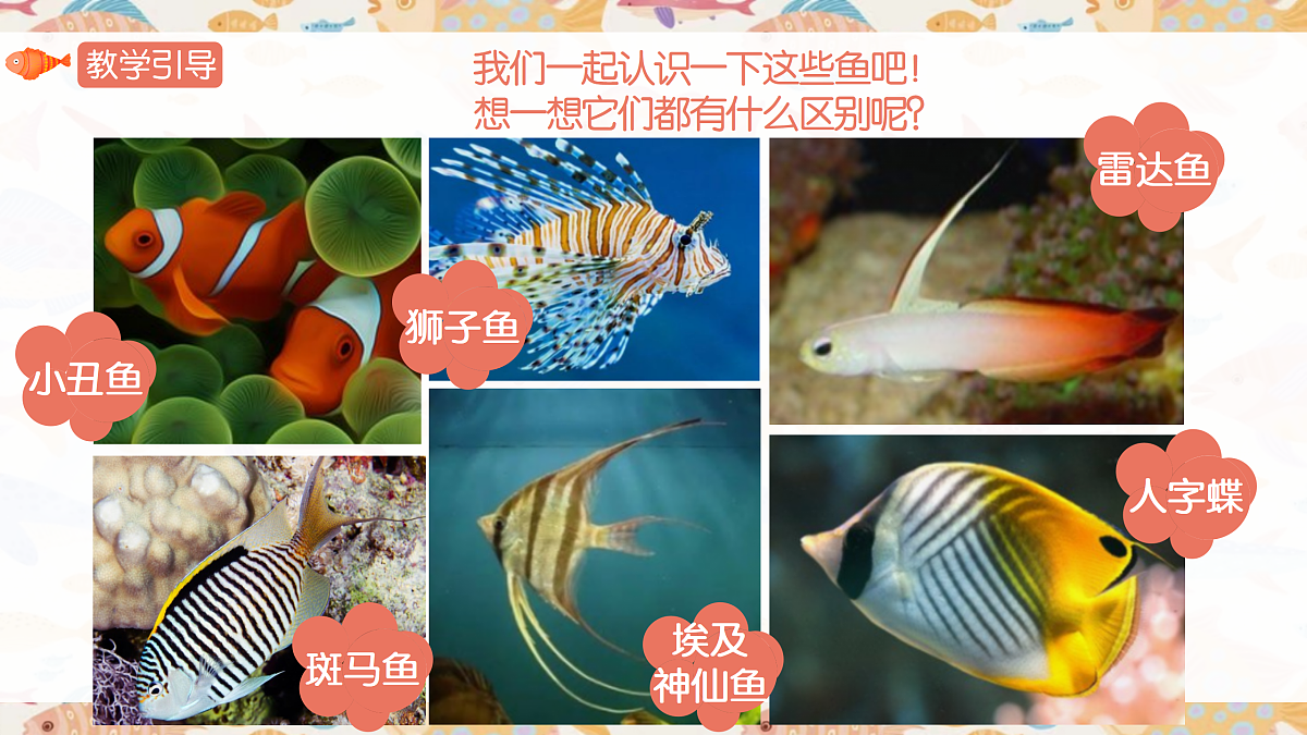 17443356第4页