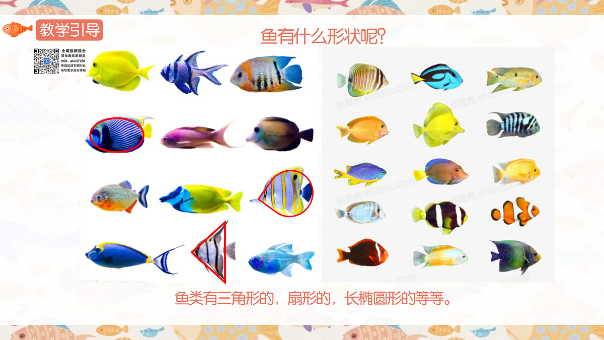 17443356第5页