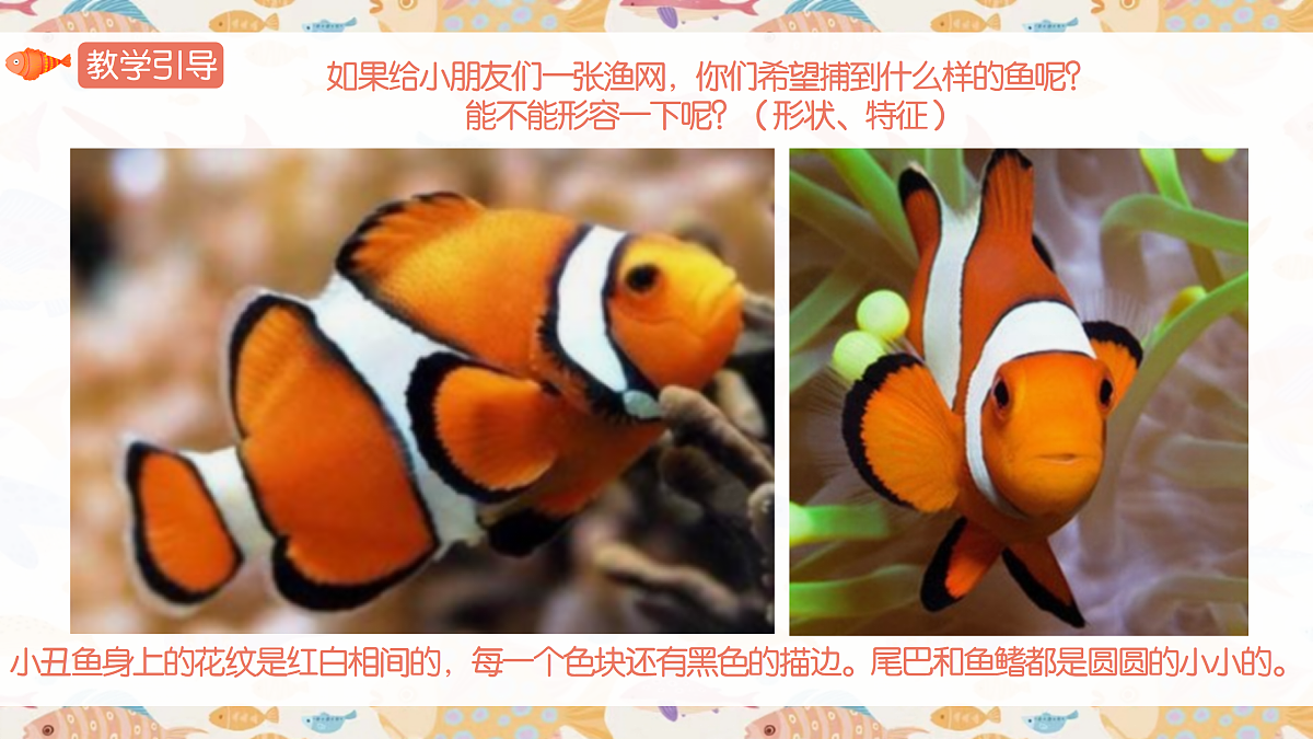 17443356第6页
