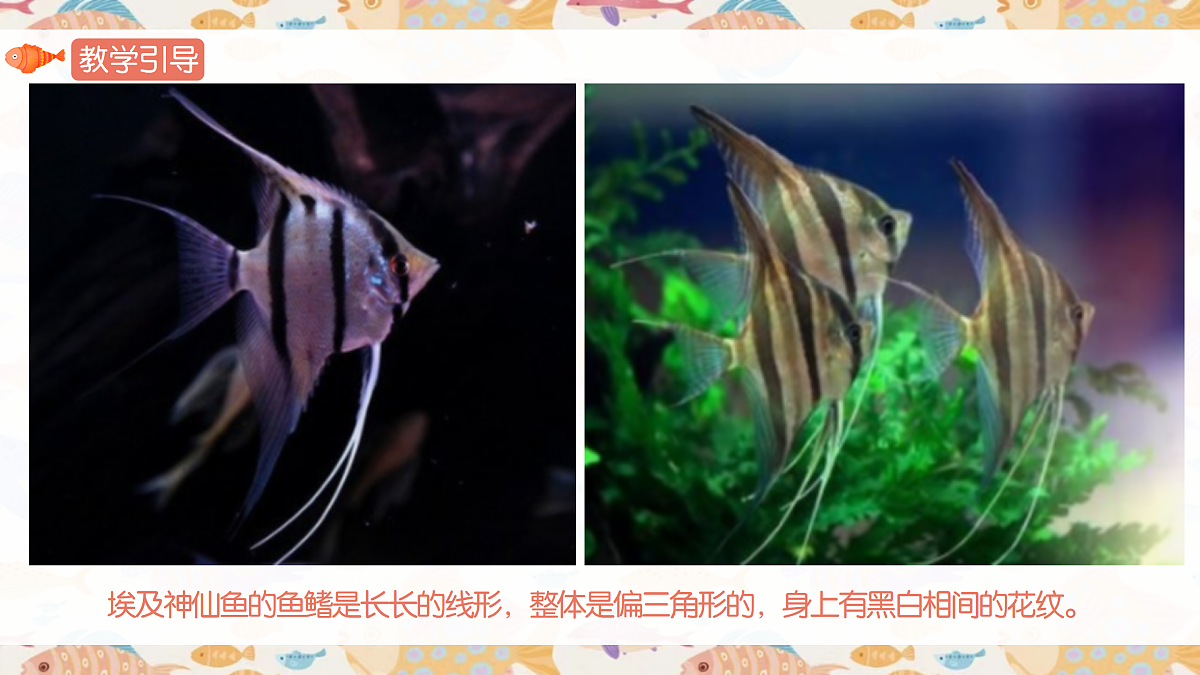 17443356第8页