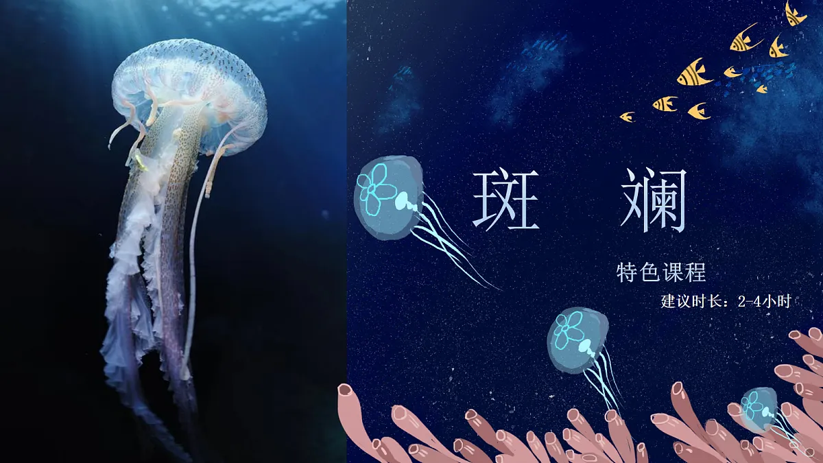 17443357第1页