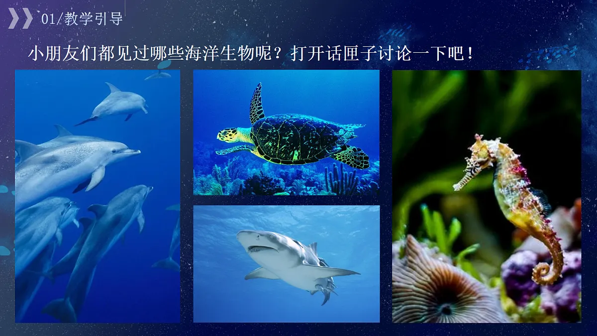 17443357第3页