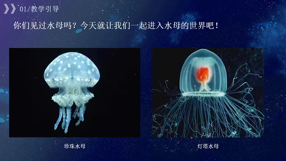 17443357第4页
