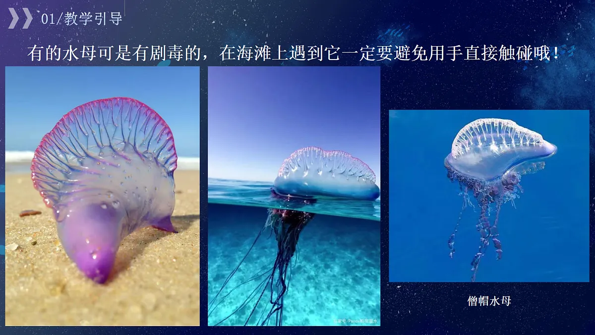 17443357第6页