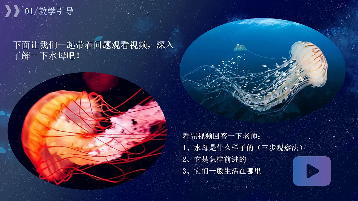 17443357第7页