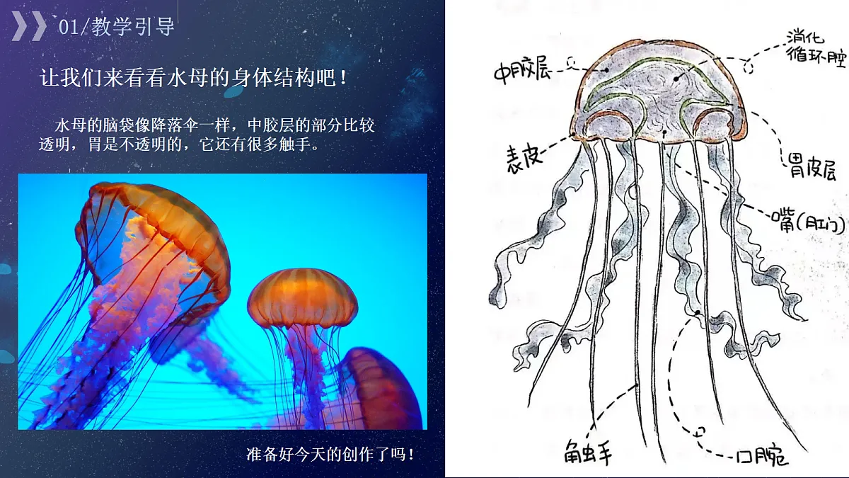 17443357第8页