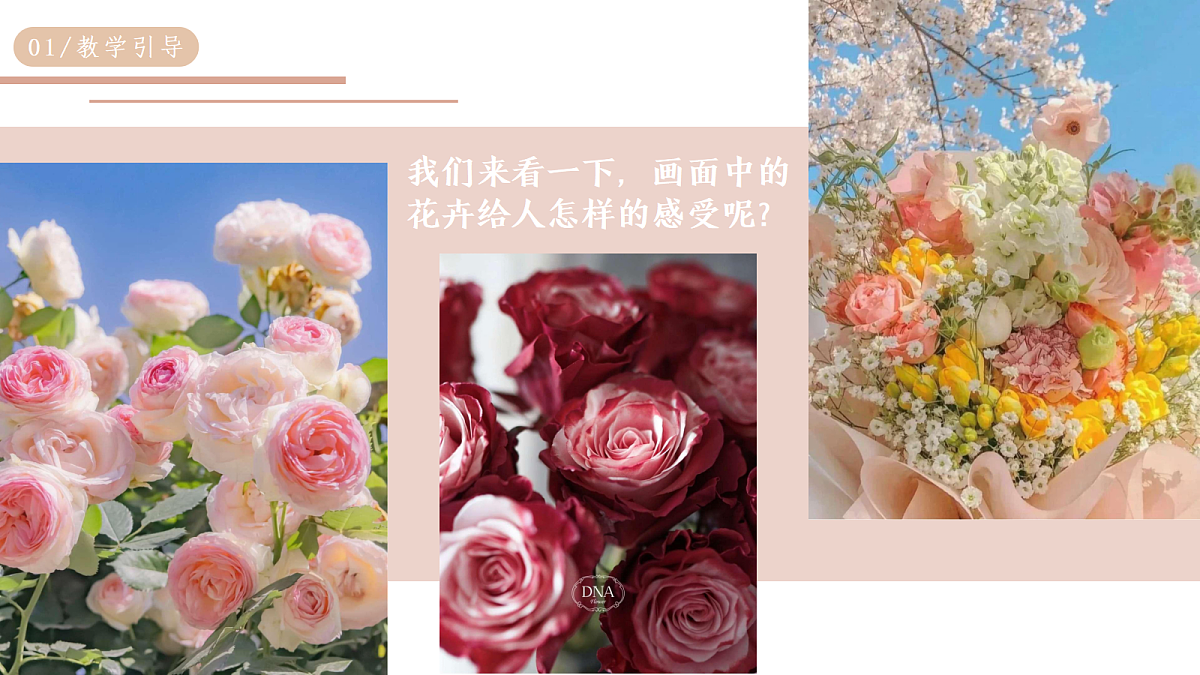 17443362第3页