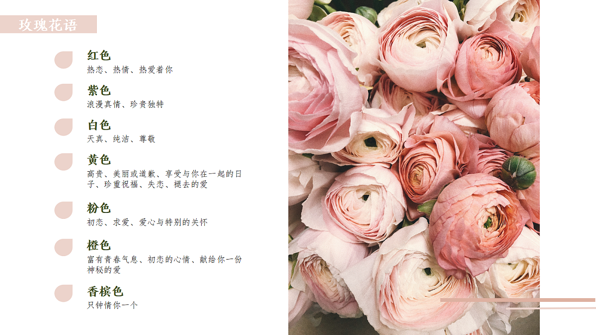 17443362第6页