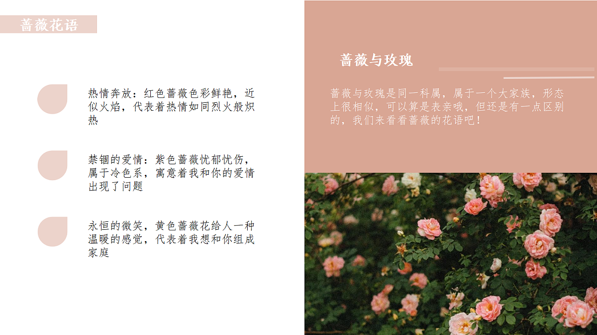 17443362第7页