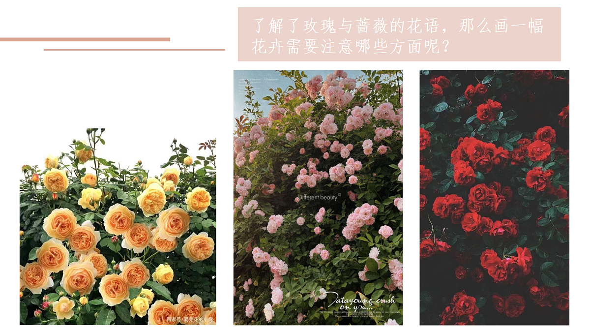 17443362第8页